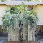 Sandpiper Court 14 By Wild Dunes, With Amenities