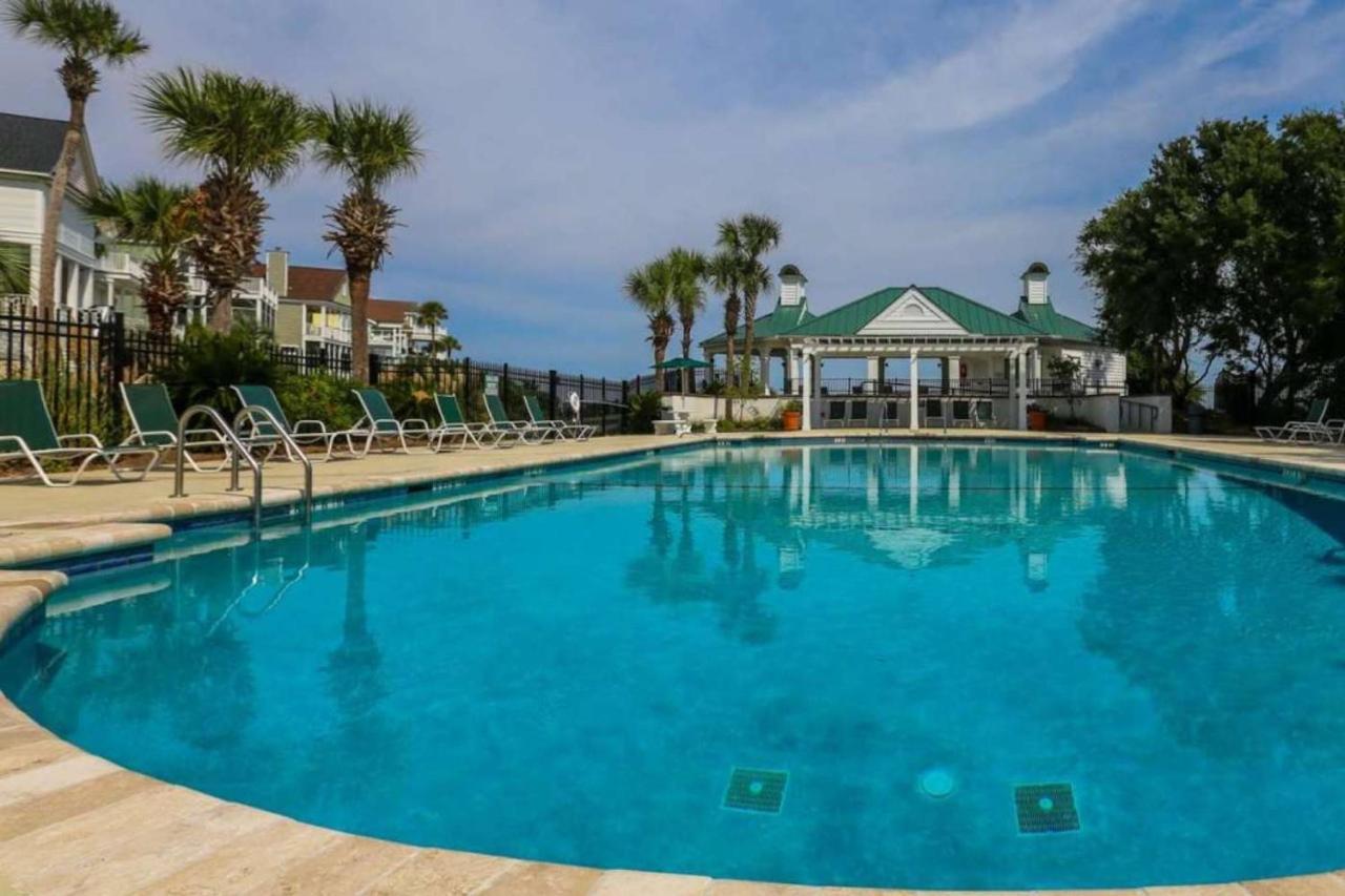 Sea Sponge Isle of Palms