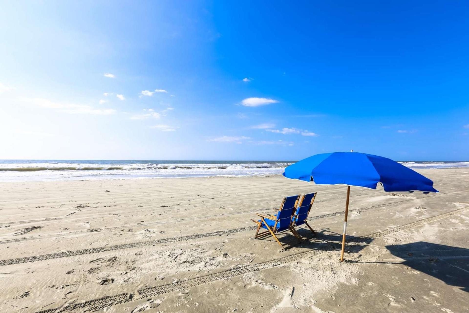 The Lazy Palm * Isle of Palms