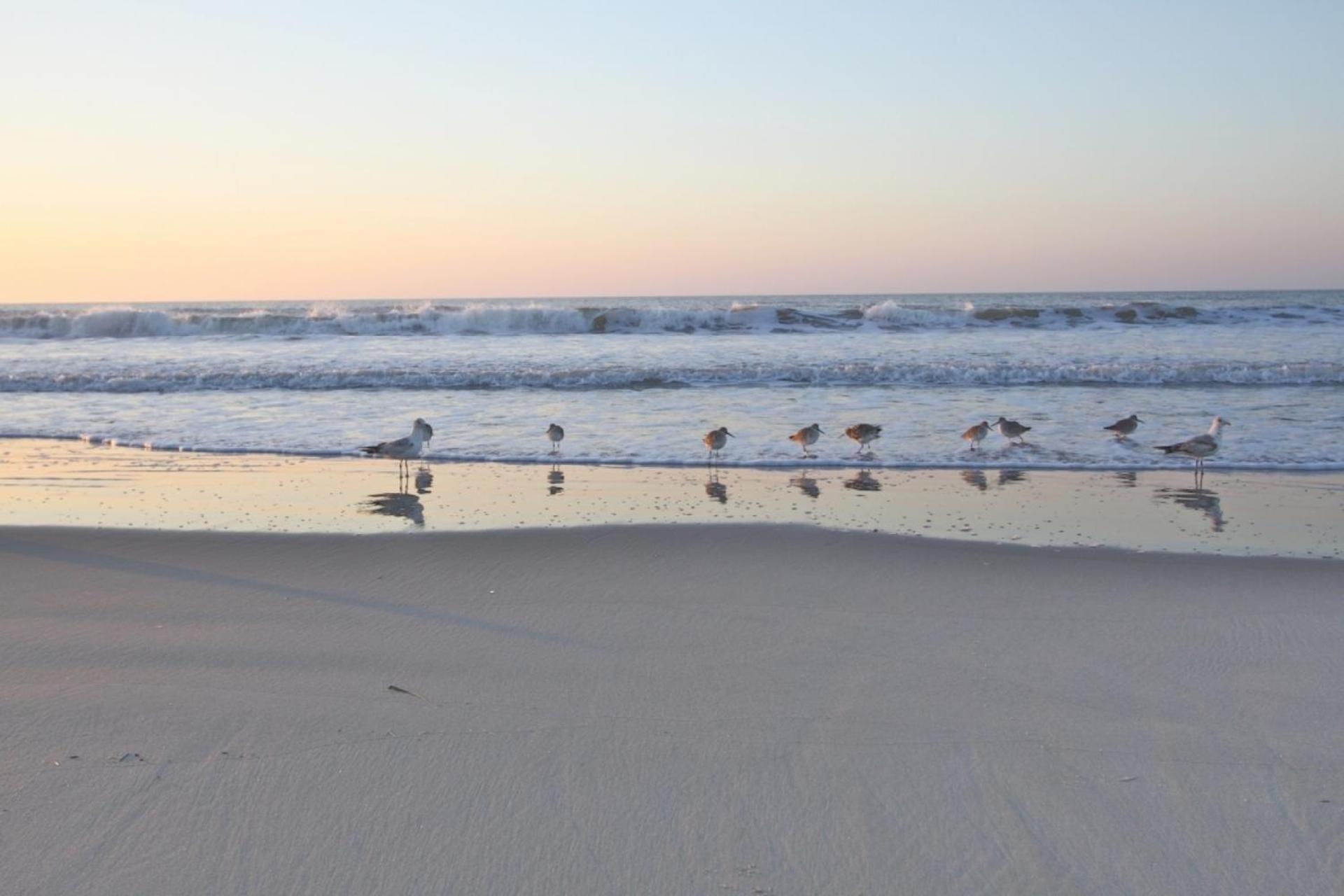 Holiday home Carolina Breezes West