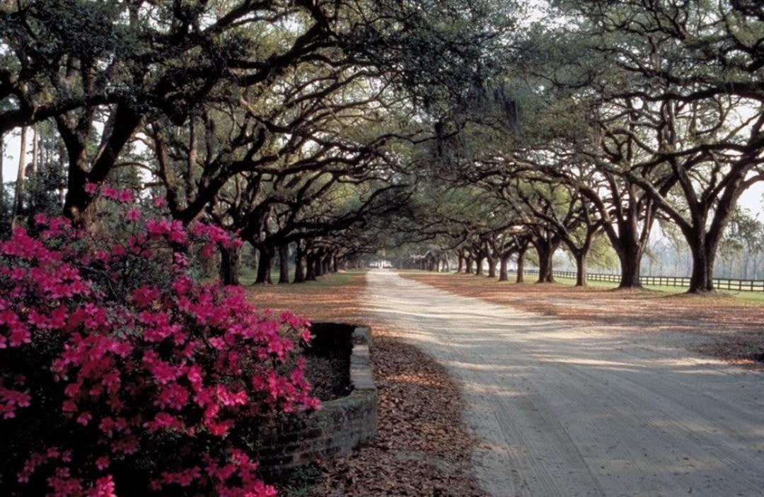Holiday home Walker By Avantstay Incredible Community Amenities *