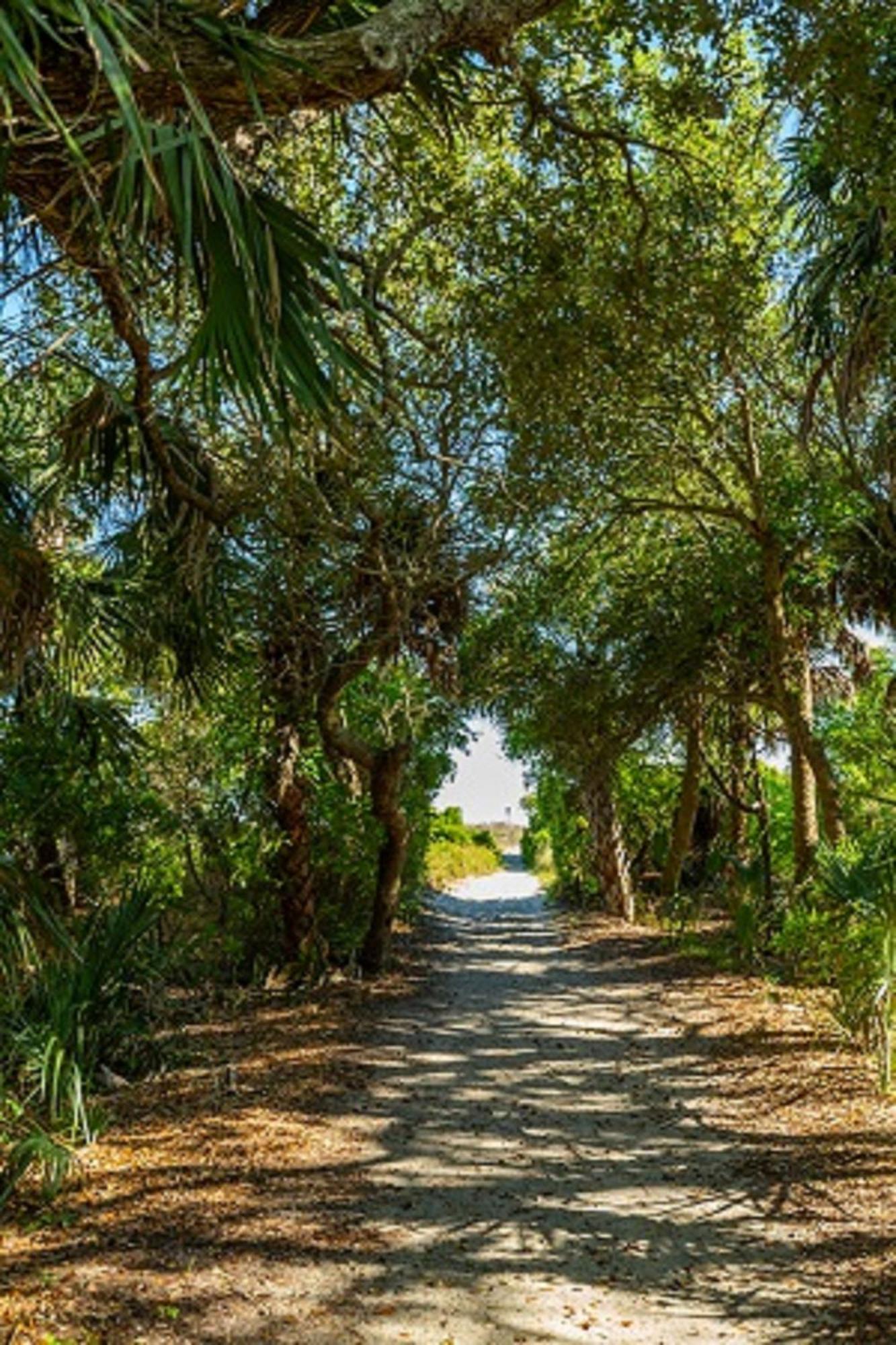 5 On 56th By Wild Dunes Isle of Palms