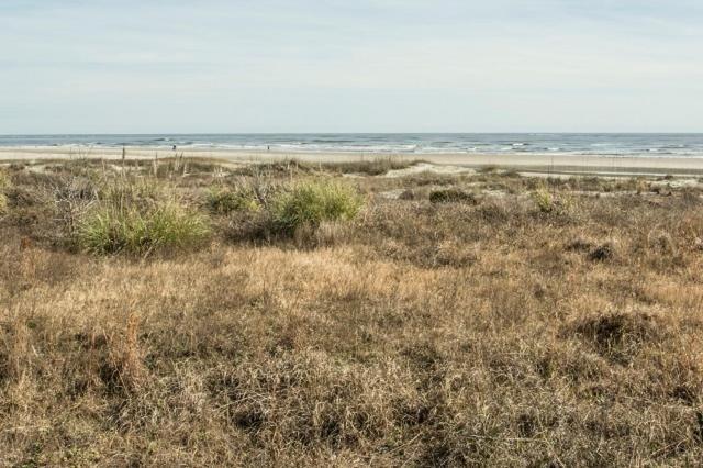 Club 39 By Wild Dunes, Oceanfront