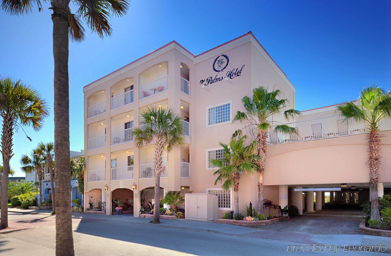 The Palms Oceanfront Hotel