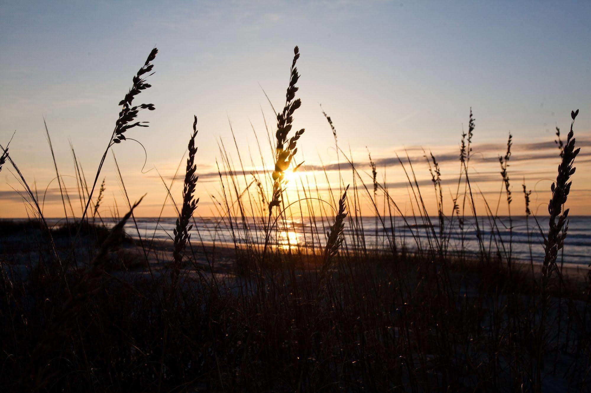 Wild Dunes Homes And